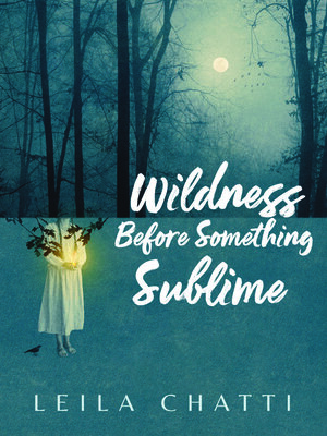 cover image of Wildness Before Something Sublime